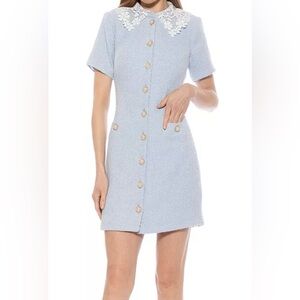 Alexia Admor Grady Lace Coller Short Sleeve Tweed Dress Color Halogen Blue